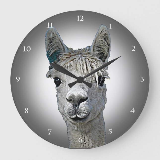 Alpaca Time Large Clock (Front)