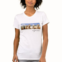 Alpaca tshirt