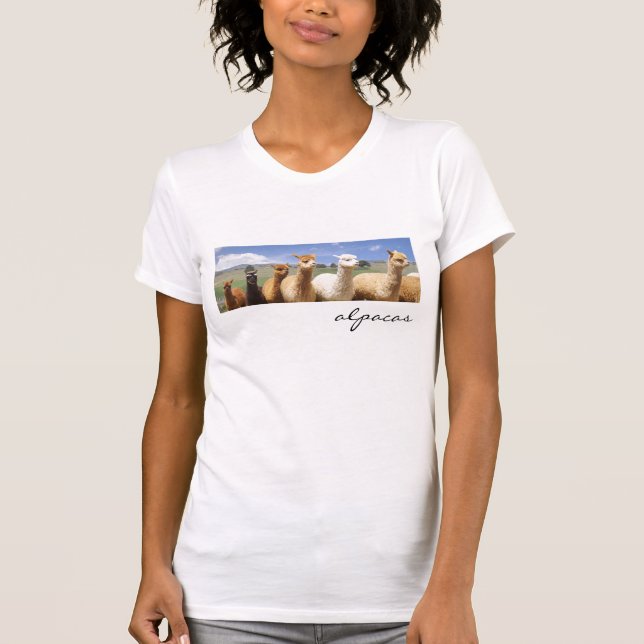 Alpaca tshirt (Front)