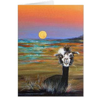 Alpaca - Vincent with story card