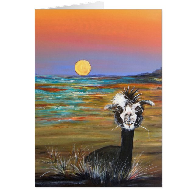 Alpaca - Vincent with story card (Front)