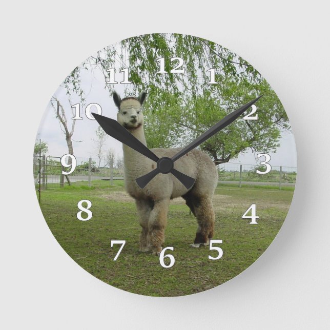 Alpaca Wall Clock (Front)