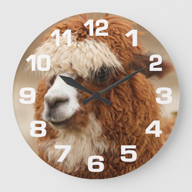 Alpaca wall clock (Front)