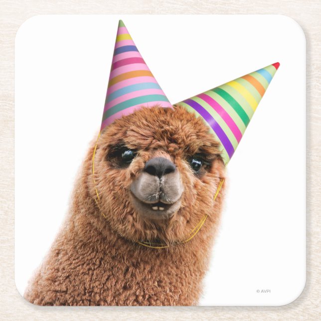 Alpaca Wearing Party Hats Square Paper Coaster (Front)