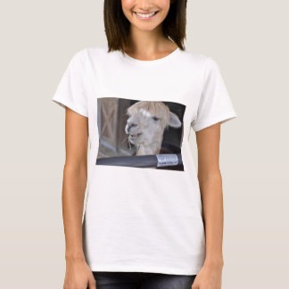 Alpaca, White T-Shirt