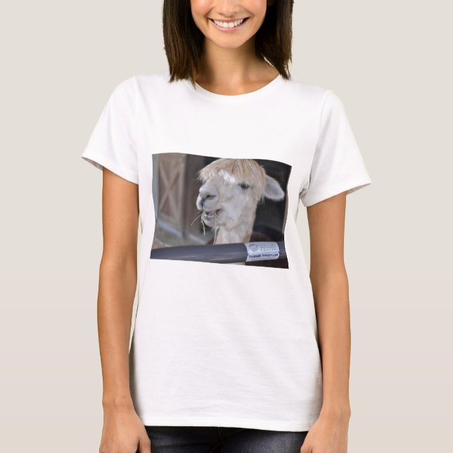 Alpaca, White T-Shirt (Front)
