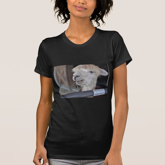 Alpaca, White T-Shirt (Front)
