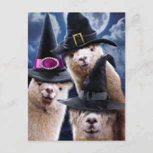 Alpaca Witches Invitation Postcard