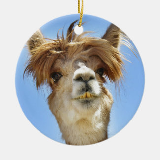 Alpaca with Crazy Hair Ceramic Tree Decoration