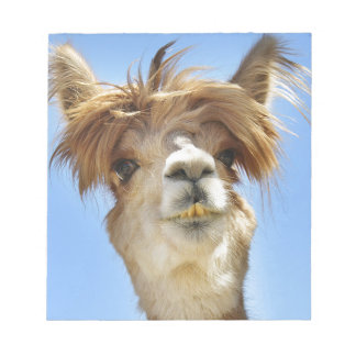 Alpaca with Crazy Hair Notepad
