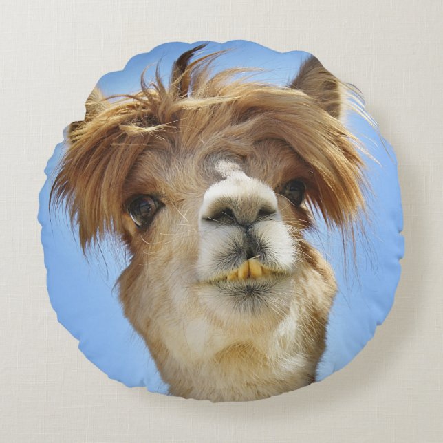 Alpaca with Crazy Hair Pillow (Front)