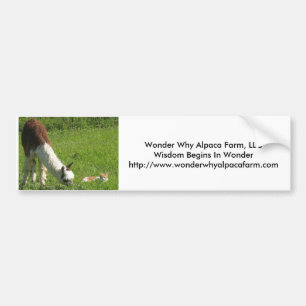 Alpaca Wonder Bumper Sticker