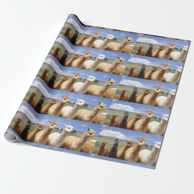 Alpaca Wrapping Paper (Unrolled)