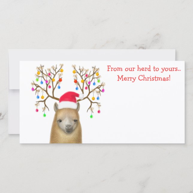 Alpaca Xmas Photo Card (Front)