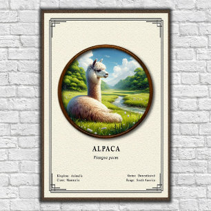 Alpaca Zoology Series Poster