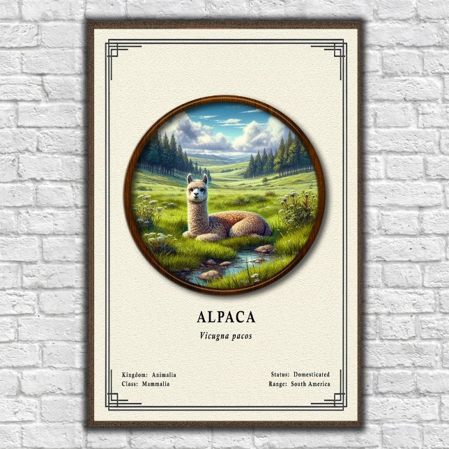Alpaca Zoology Series Poster (Creator Uploaded)