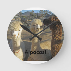 Alpacas! Clock