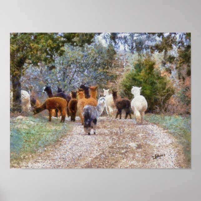 Alpacas Digital Painting Print (Front)