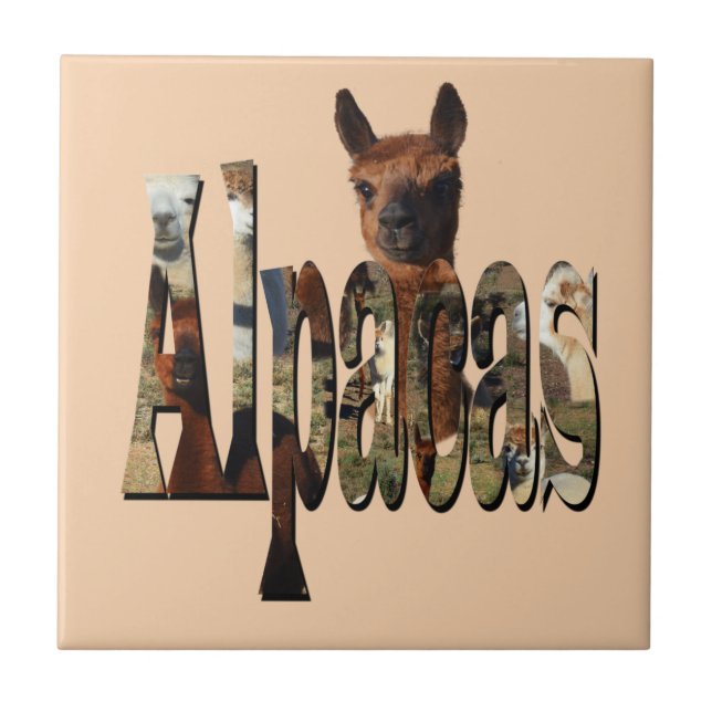 Alpacas Is The Word,  Tile (Front)