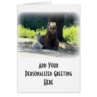 Alpacas - Mum & Baby