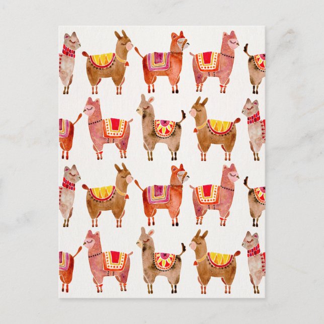 Alpacas Postcard (Front)