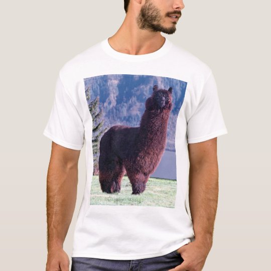 alpacas rule T-Shirt