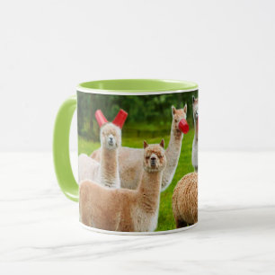 Alpacas With Red Cups