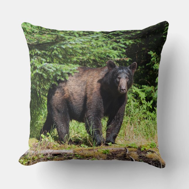 Alpha Black Bear Cushion (Front)