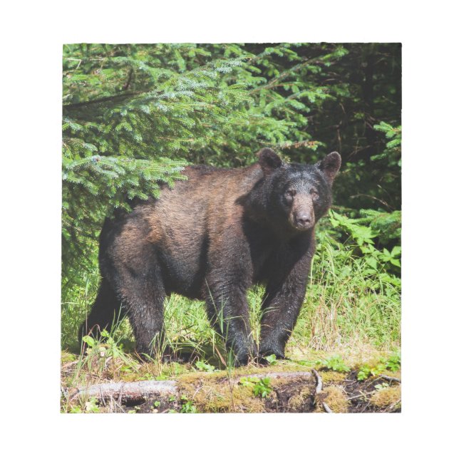 Alpha Black Bear Notepad (Front)