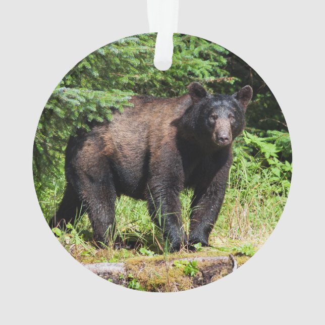 Alpha Black Bear Ornament (Back)