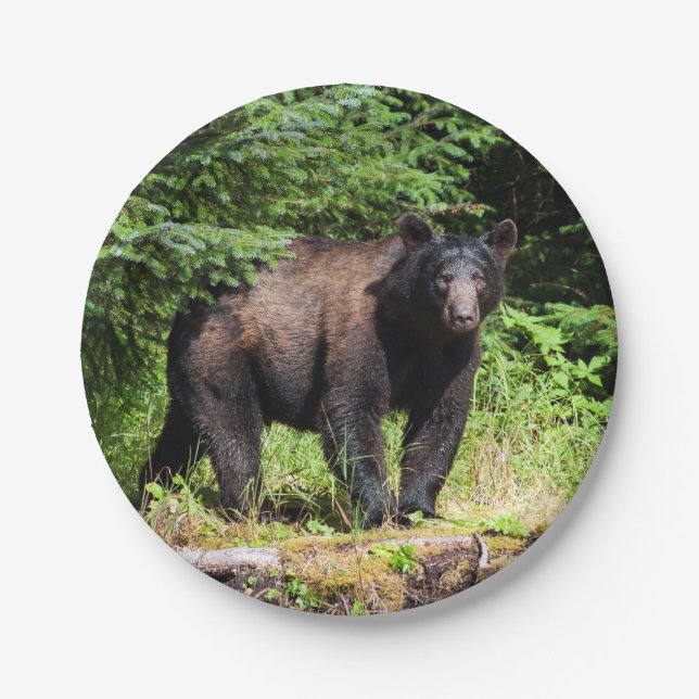 Alpha Black Bear Paper Plate (Front)