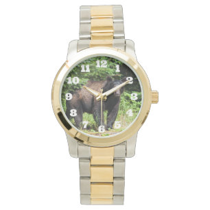 Alpha Black Bear Watch