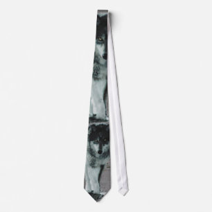 Alpha Male Timber Wolf Wildlife Necktie