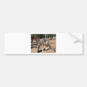 Alpha Wolf Bumper Sticker