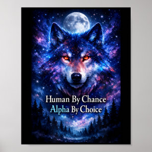 Alpha wolf human by chance alpha by choice  poster