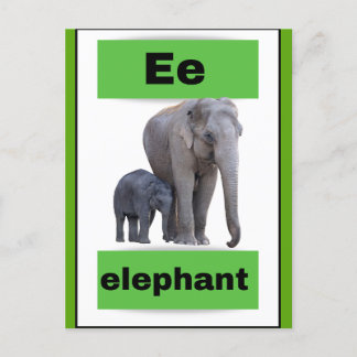 alphabet card(with real picture)Holiday Postcard