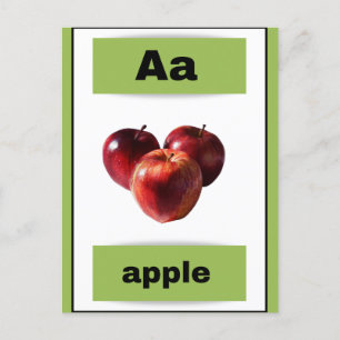 alphabet flash card(with real picture) holiday pos