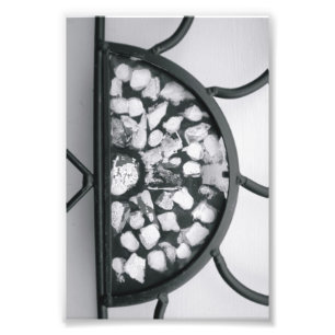 Alphabet Letter Photography D5 Black and White 4x6 Photo Print