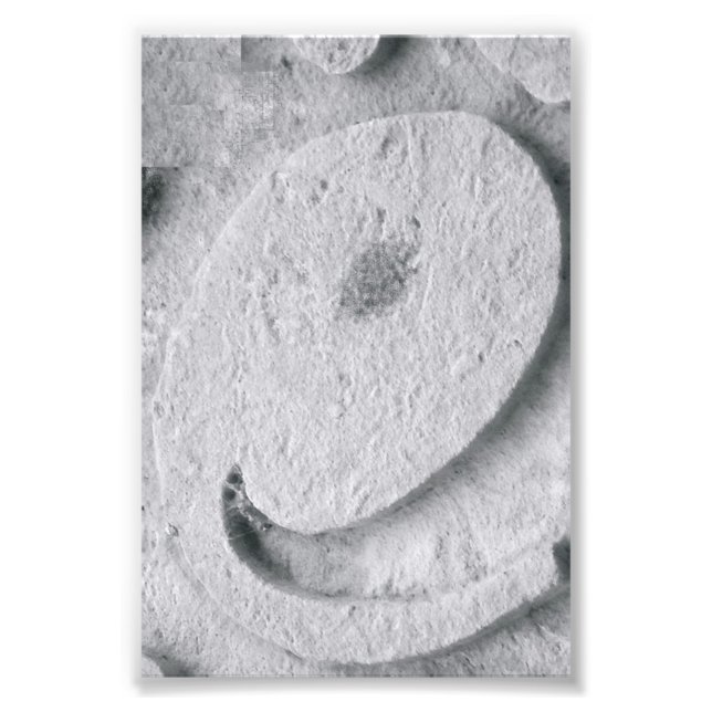 Alphabet Letter Photography E4 Black and White 4x6 Photo Print (Front)