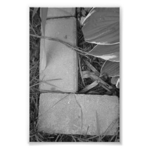 Alphabet Letter Photography L5 Black and White 4x6 Photo Print