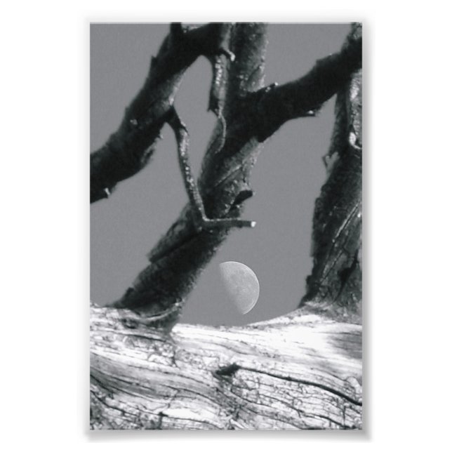 Alphabet Letter Photography M7 Black and white 4x6 Photo Print (Front)