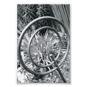 Alphabet Letter Photography Q1 Black and White 4x6 Photo Print