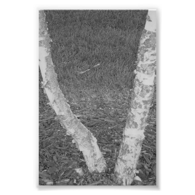 Alphabet Letter Photography V3 Black and White 4x6 Photo Print (Front)