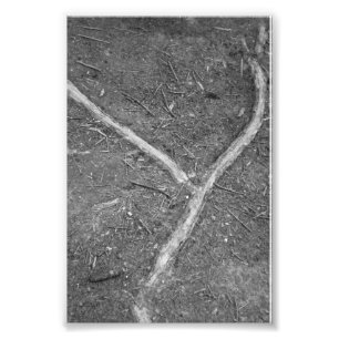 Alphabet Letter Photography Y1 Black and White 4x6 Photo Print