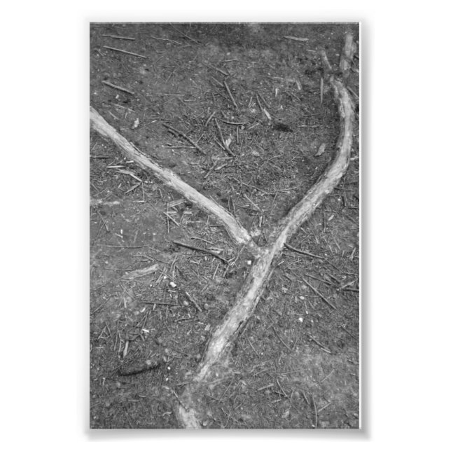 Alphabet Letter Photography Y1 Black and White 4x6 Photo Print (Front)