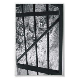 Alphabet Letter Photography Z4 Black and White 4x6 Photo Print