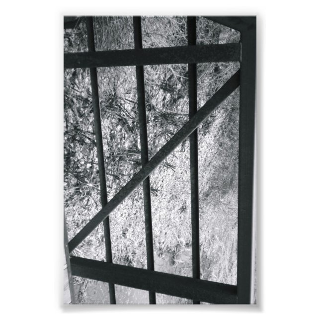 Alphabet Letter Photography Z4 Black and White 4x6 Photo Print (Front)