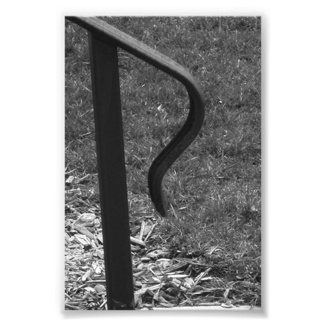 Alphabet Letter R1 Black and White 4x6 Photo Print (Front)