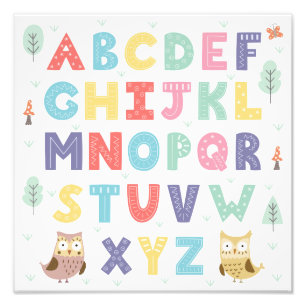 Alphabet Owls Photo Print