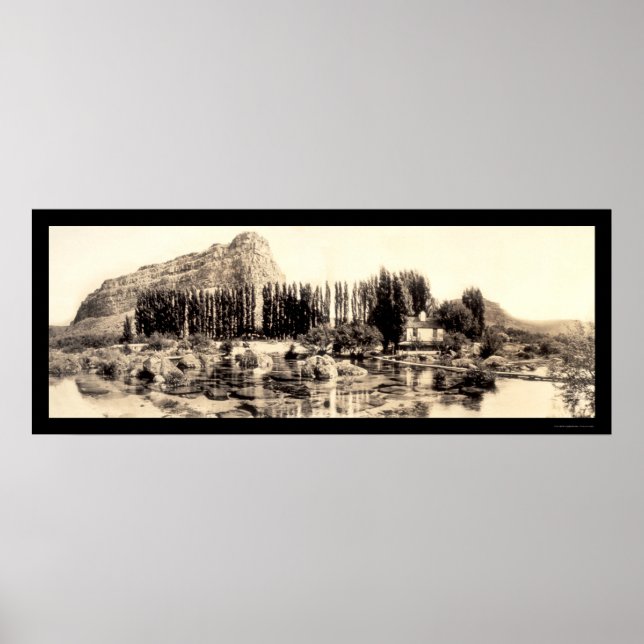 Alpheus Creek ID Photo 1913 Poster (Front)